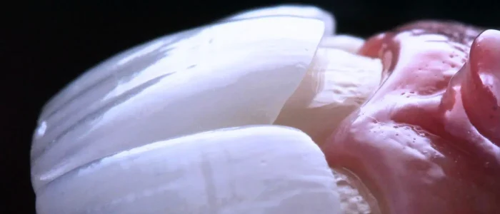 Design sem nome (18) (1)